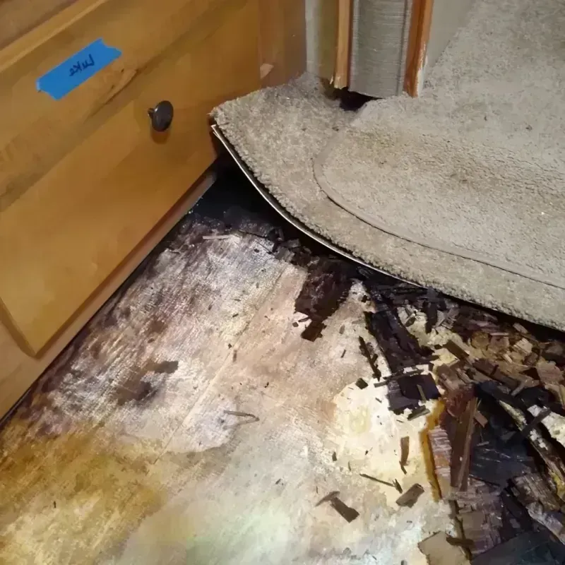 Best Wood Floor Water Damage Service in Arivaca Junction, AZ